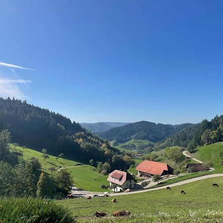 Schwarzwaldmadel Appartement Hausach Buitenkant foto